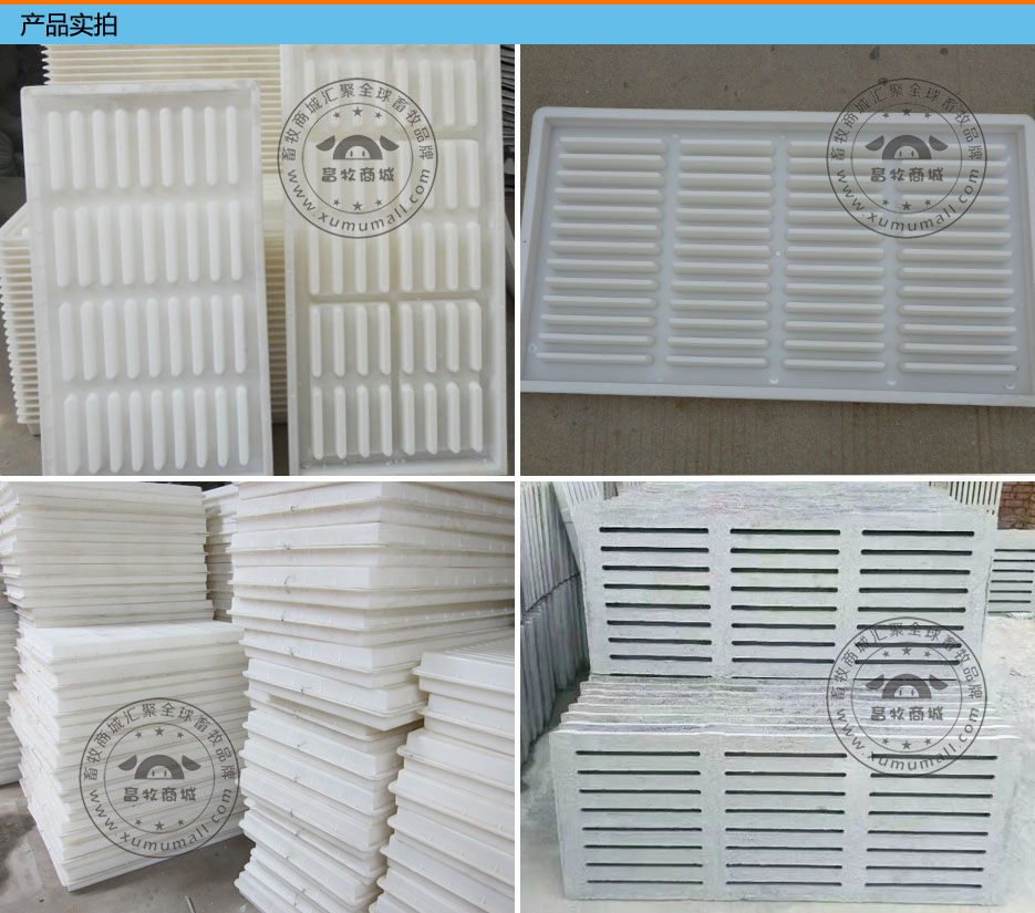 snlfbmj.jpg