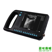 牛用B超C600