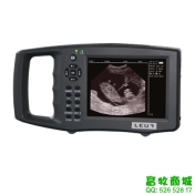 兽用B超L-3100C